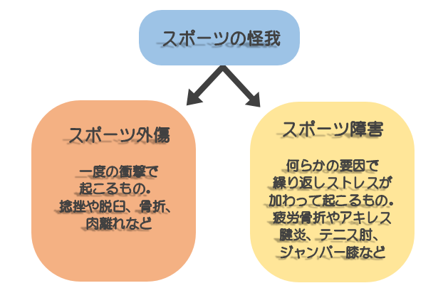 ホームページスポーツ外傷②